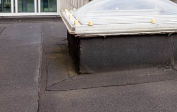 disadvantages of South Yeo flat roofs