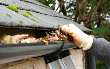 gutter cleaning South Yeo, Devon